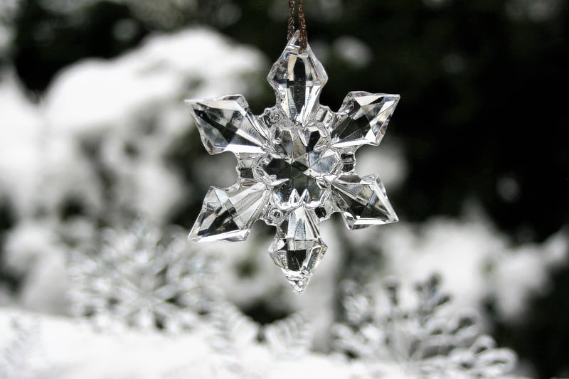 Elegant Clearings