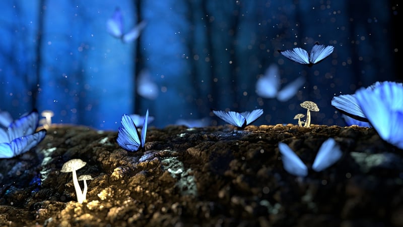 Forest Fairytale Setting