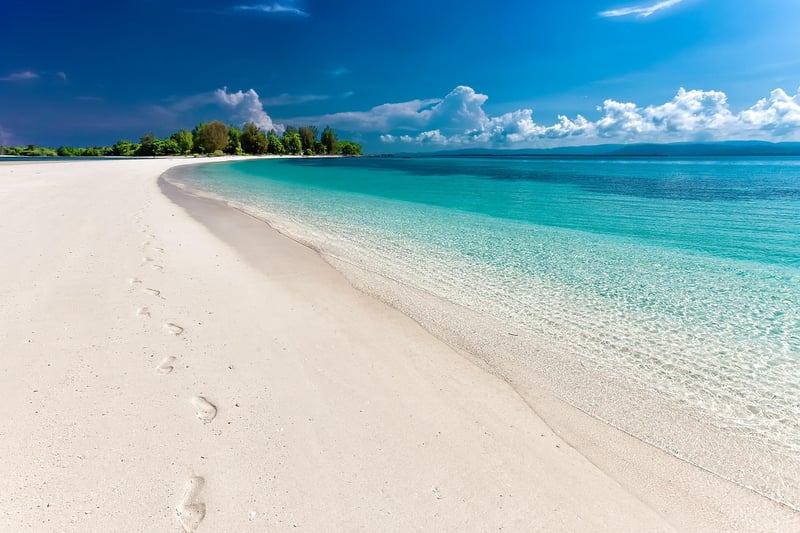 Coastal Clearing