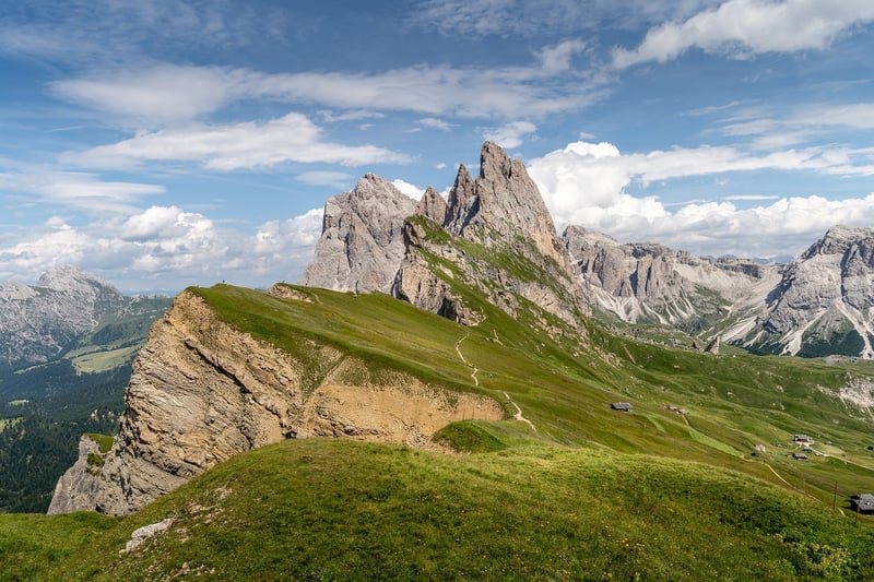 Mountain Meadow Clearing